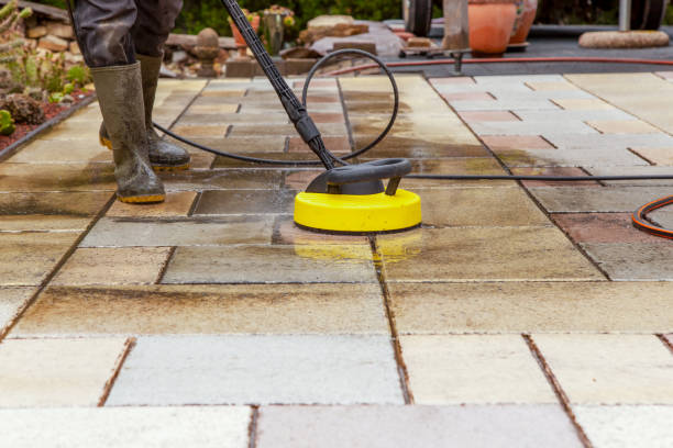 Animal Enclosure Cleaning in Rosenberg, TX
