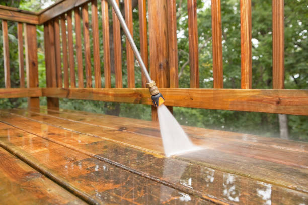 Best Building Exterior Washing  in Rosenberg, TX